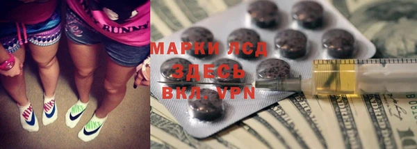 сатива Няндома