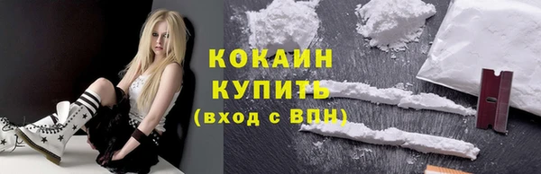 сатива Няндома