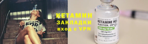 сатива Няндома