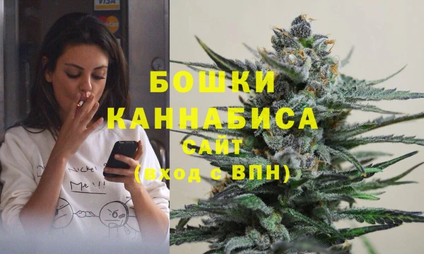 сатива Няндома