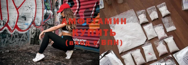 сатива Няндома