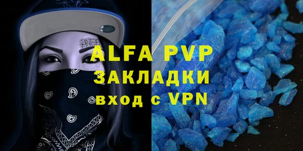 сатива Няндома