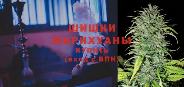 сатива Няндома